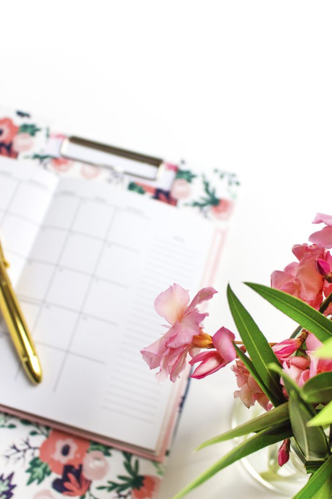 Pink Agenda26 683x1024